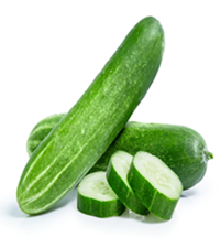 Salad Cucumber