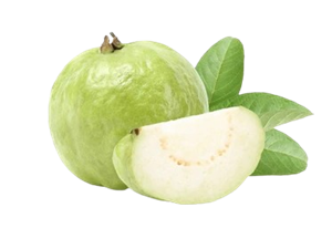 Guava