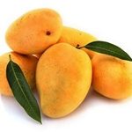 TJC Mango