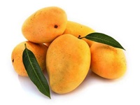 TJC Mango