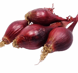 Red Onion