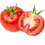 Tomato