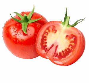 Tomato