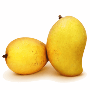 Alphonso Mango
