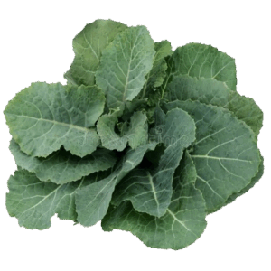 Cabbage leaves