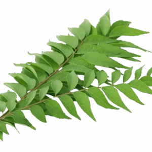 Curry Leaves