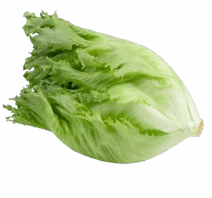 Iceberg