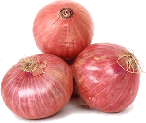 Onion